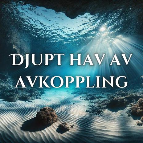 Midnattsmusik för Avkoppling | Boomplay Music