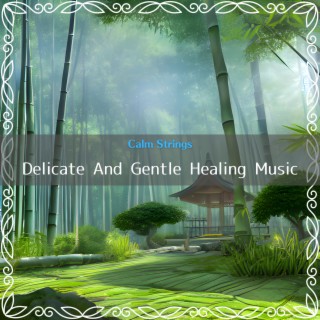 Delicate And Gentle Healing Music