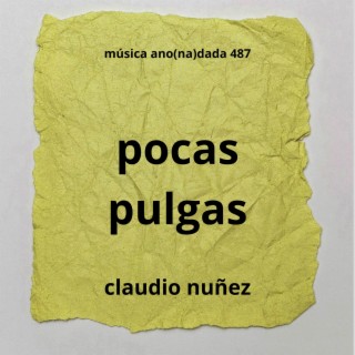 pocas pulgas