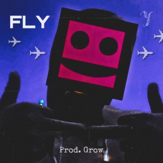 FLY lyrics | Boomplay Music