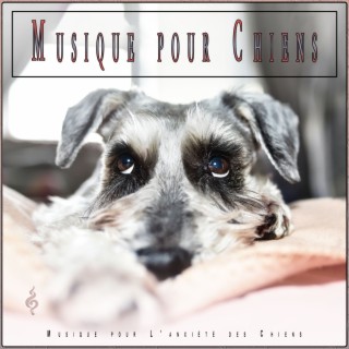 Musique pour Chiens: Musique pour L'anxiété des Chiens