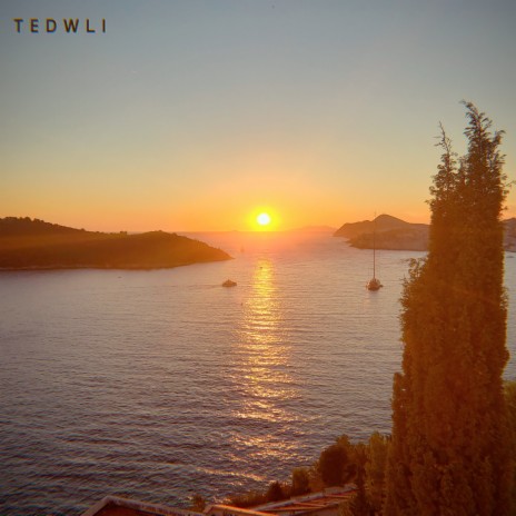 TEDWLI ft. The Common View | Boomplay Music