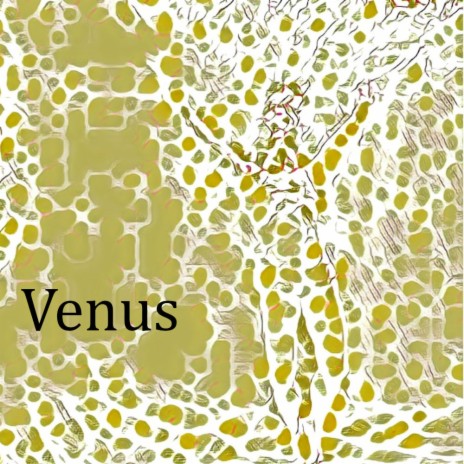 Venus