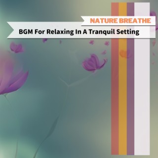 BGM For Relaxing In A Tranquil Setting