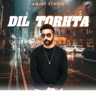 Dil Torhta