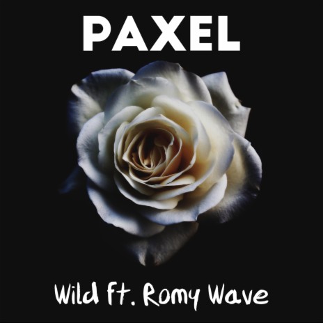 Wild (feat. Romy Wave) | Boomplay Music