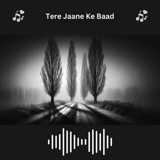 Tere Jaane Ke Baad