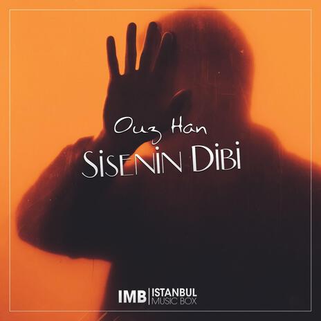 Şişenin Dibi | Boomplay Music