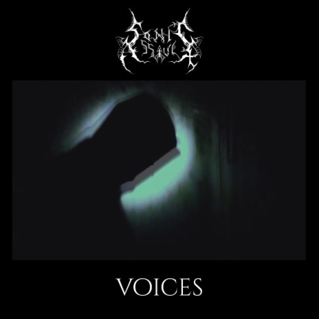 Voices