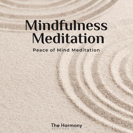 Peace of Mind Meditation | Boomplay Music