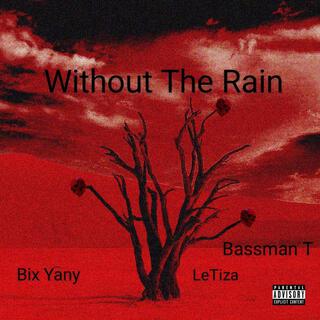 Without The Rain