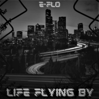 Life Flying By