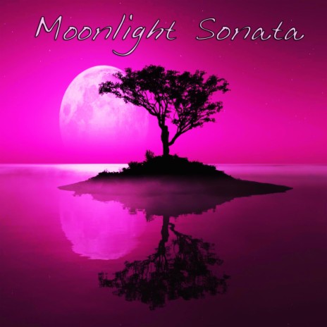 Moonlight Sonata, Piano Sonata No. 14 In C Sharp Minor, Op.27 No.2 | Boomplay Music