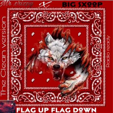 Flag Up Flag Down (Radio Edit) ft. Big Sxoop | Boomplay Music