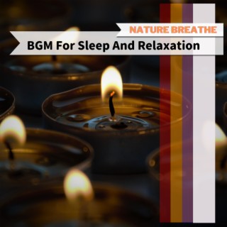 BGM For Sleep And Relaxation