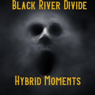 Hybrid Moments