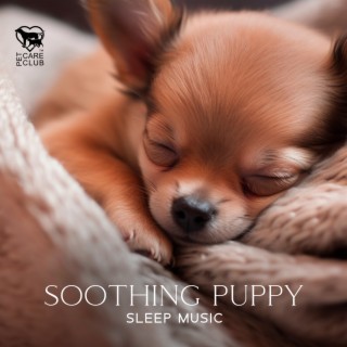 Soothing Puppy Sleep Music: Relaxing Sleep Music for Dogs, Chill Your Dog Out, Calm Your Pet