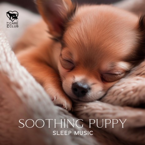 Relaxing Lullaby for Dogs