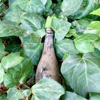 A Buried Bottle