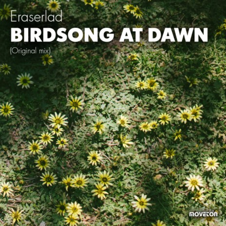 Birdsong At Dawn (Original Mix)