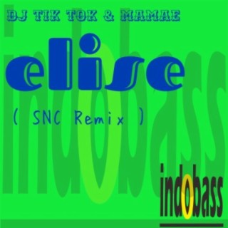Elise (SNC Remix)