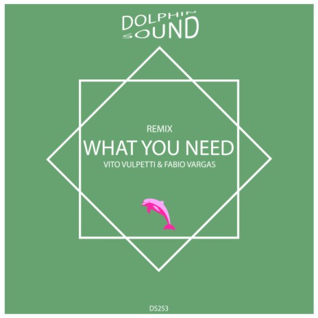 What You Need (Remix) ft. Fabio Vargas