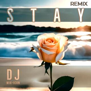 Stay (Remix)