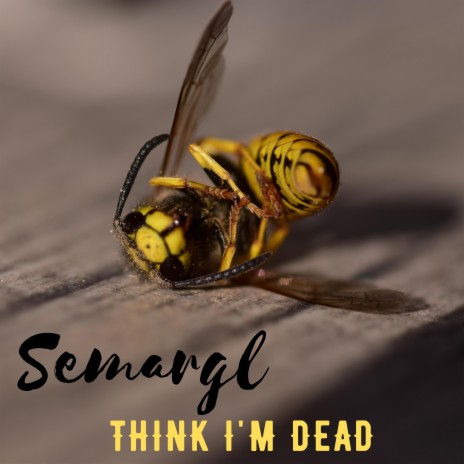 Think I'm Dead | Boomplay Music