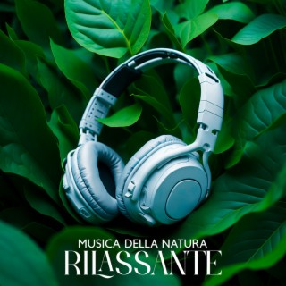 Musica Della Natura Rilassante – Dormire, Sognare, Respirare, Rilassarsi