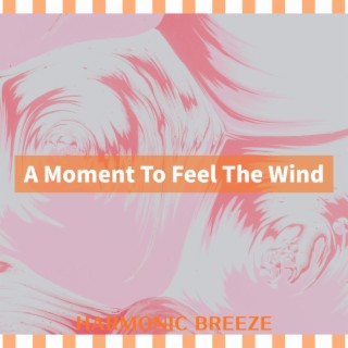 A Moment To Feel The Wind