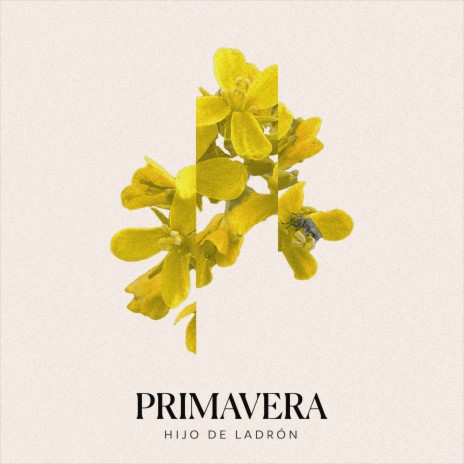 Primavera | Boomplay Music