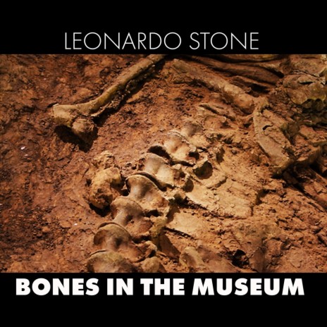 Bones in the Museum | Boomplay Music