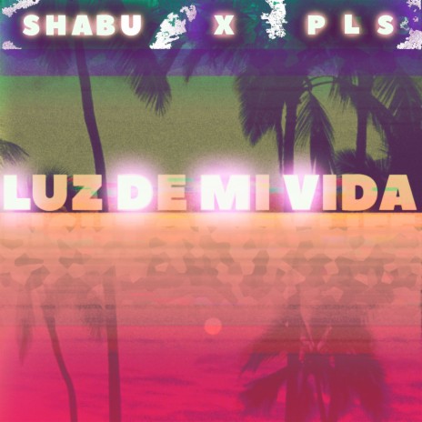 Luz de Mi Vida ft. PLS | Boomplay Music