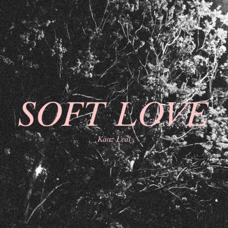 Soft Love | Boomplay Music