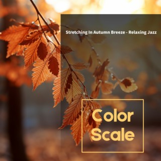 Stretching In Autumn Breeze - Relaxing Jazz
