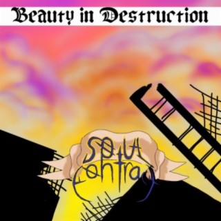 Beauty in Destruction