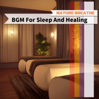 BGM For Sleep And Healing