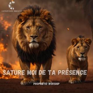 Sature moi de ta présence