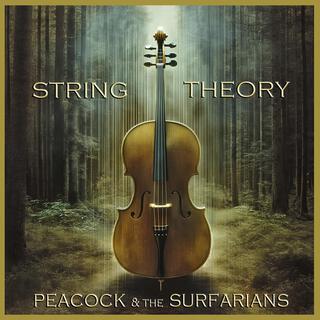 String Theory