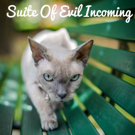 Suite Of Evil Incoming | Boomplay Music