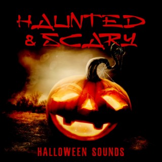 Haunted & Scary Halloween Sounds: Best Halloween Party Collection 2022, Horror & Creepy Effects