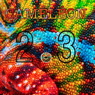 Caméléon lyrics | Boomplay Music