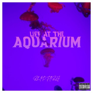 life at the aquarium