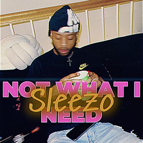 Not what I need | Boomplay Music