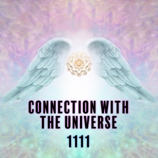 Connection with the Universe 1111