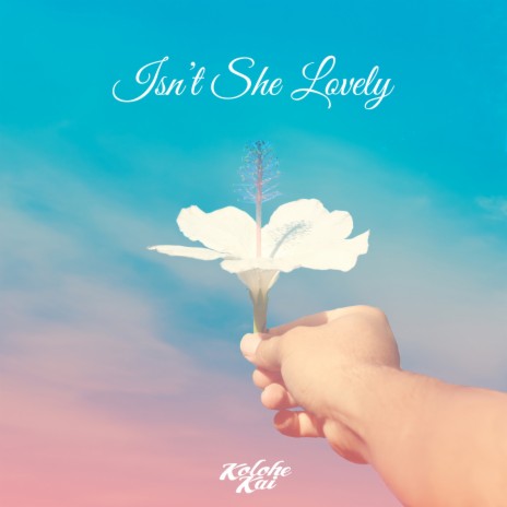 Isn't She Lovely | Boomplay Music