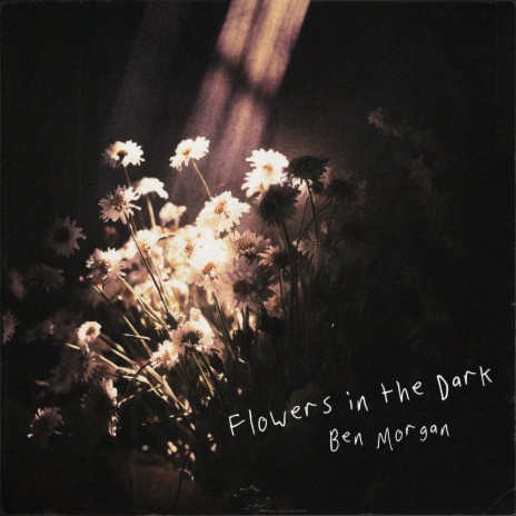 Flowers in the Dark | Boomplay Music