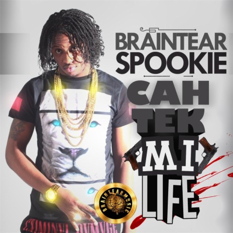 Cah Tek Mi Life | Boomplay Music