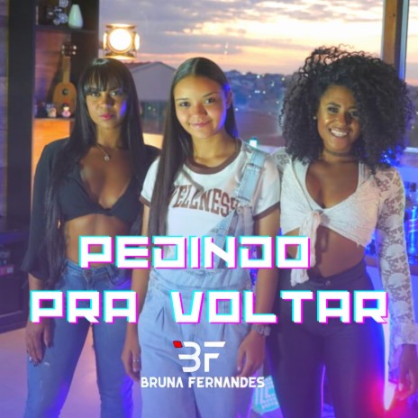 Pedindo pra Voltar | Boomplay Music