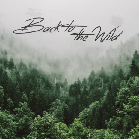 Back to the Wild | Boomplay Music